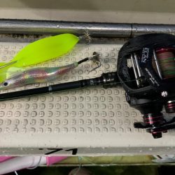 流行りのタコエギで